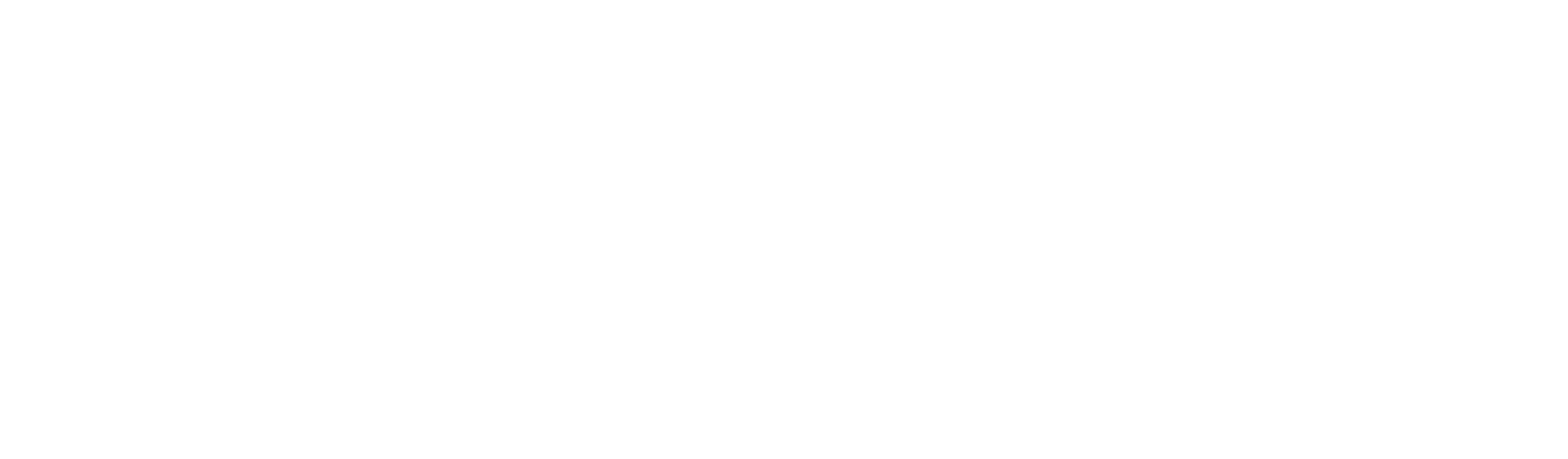 Vzion Productions